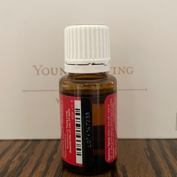 DIGIZE - Picture 2 of 6